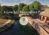 A Look Into Brackenridge Park